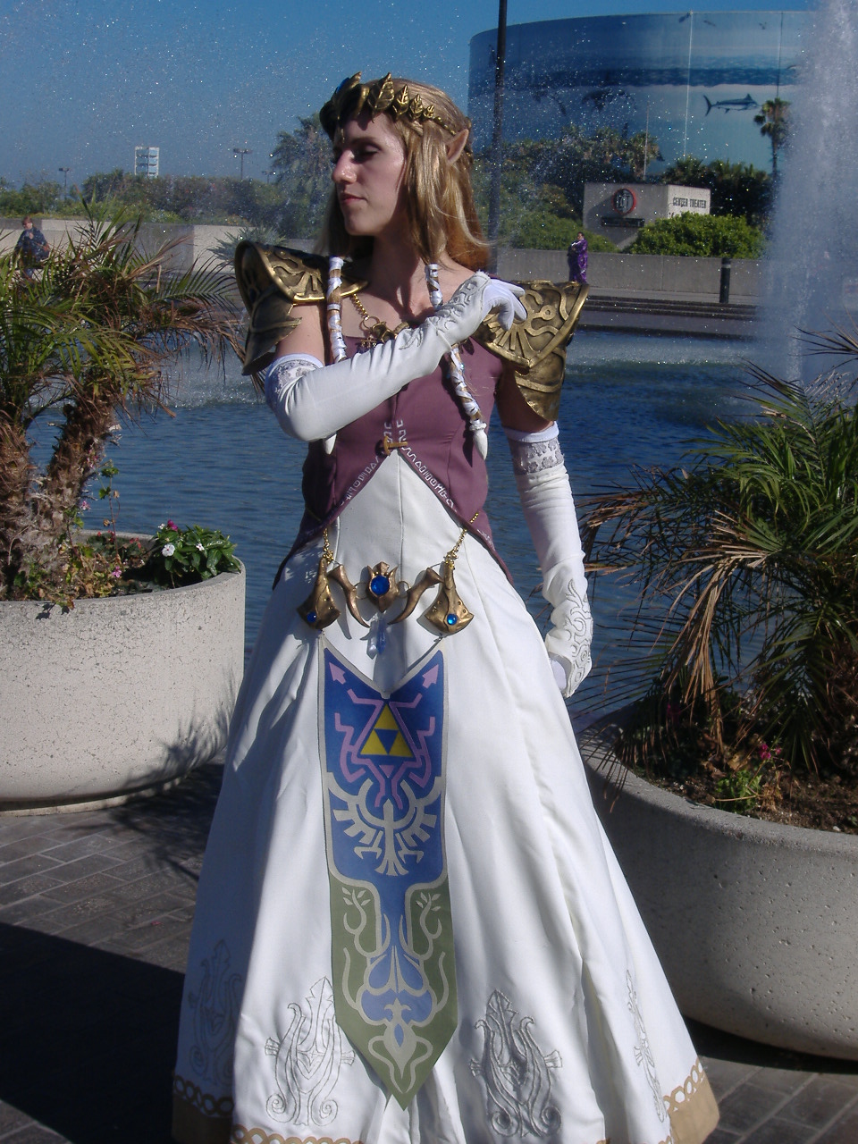 Princess Zelda Costumes - CostumesFC.com