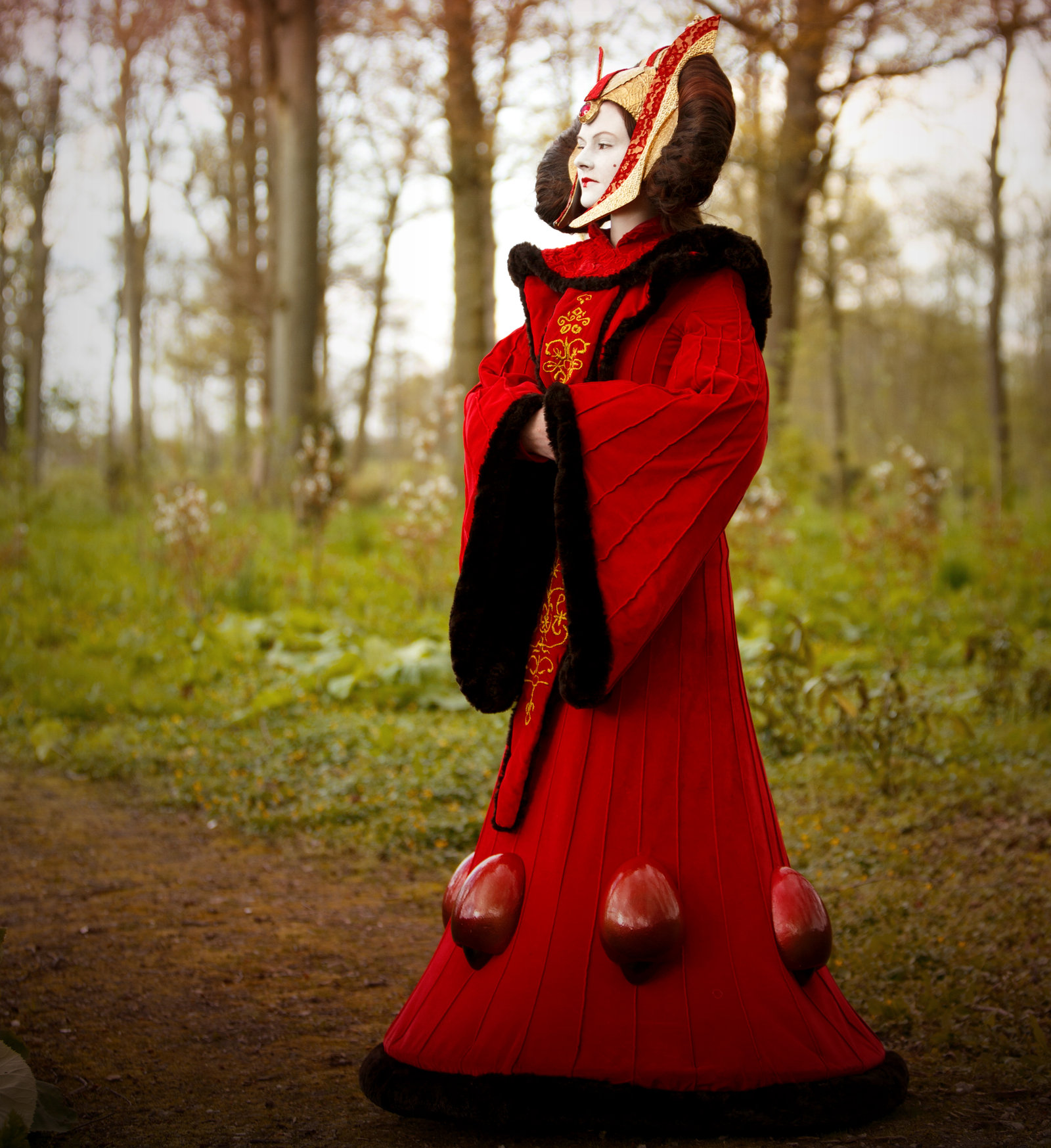 Queen Amidala Costume Costumes Fc