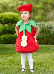 Infant Strawberry Costume