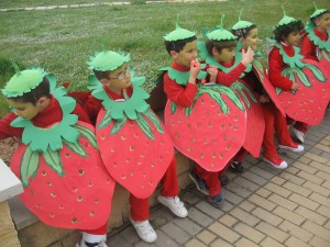 Strawberry Costumes