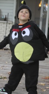 Angry Bird Costume for Kids