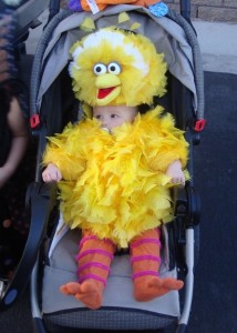 Baby Bird Costume