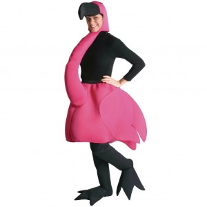 Bird Costume