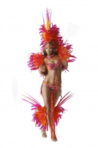 Carnival Costume Ideas