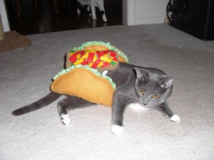 Cat Taco Costume