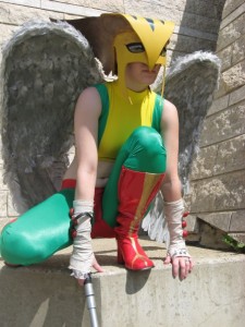 Hawkgirl Costumes