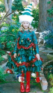Homemade Christmas Tree Costume