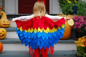 Parrot Wings Costume