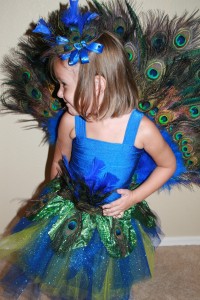 Peacock Costume Kids