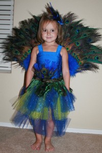 Peacock Costumes for Kids