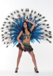 Peacock Feathers Costume