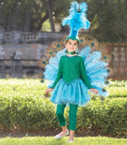 Peacock Kids Costume