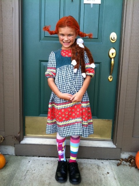 pippi longstocking costume ideas for adults