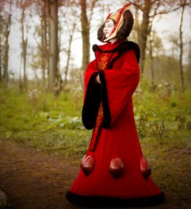 Queen Amidala Costume Adult