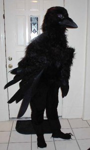 Raven Costume