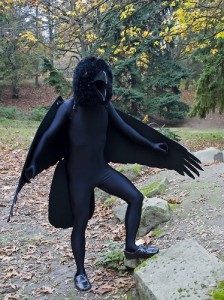 Raven Costumes