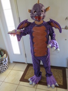 Skylander Costumes for Kids