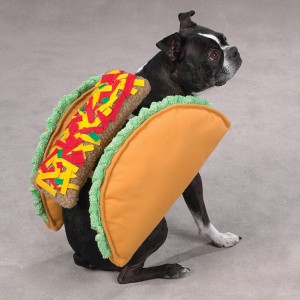 Taco Dog Costume