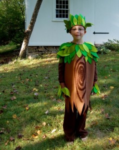 Tree Costume for Toddler