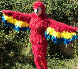 Womens Parrot Costume