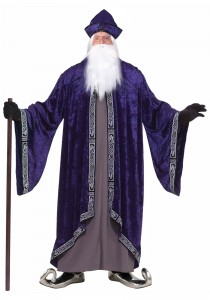 Adult Wizard Costume