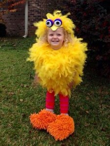 Homemade Big Bird Costume