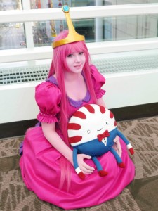Princess Bubblegum Adult Costume