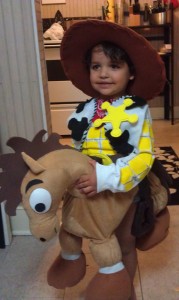 Toy Story Bullseye Costume