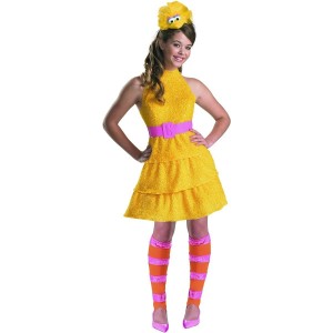 Womens Big Bird Costume