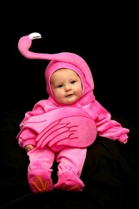 Baby Flamingo Costume