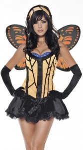 Butterfly Costume Adult