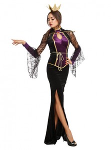 Disney Evil Queen Costume