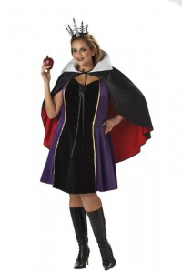 Evil Queen Adult Costume