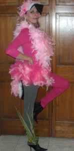 Flamingo Costumes for Adults