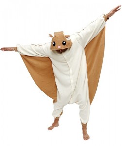 Flying Squirrel Costume