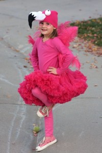 Pink Flamingo Costume