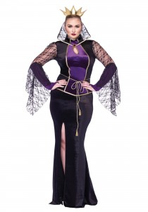 Plus Size Evil Queen Costume