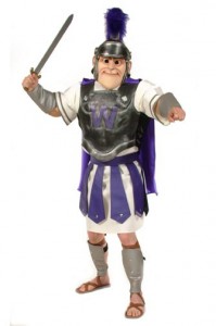 Knight Mascot Costume